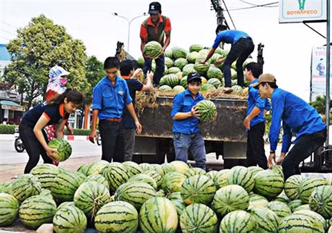 Plusieurs modèles s’organisent pour venir en aide aux agriculteurs ảnh 1