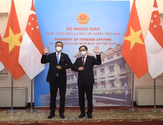 Le Vietnam et Singapour se préparent à un accord bilatéral sur l'économie numérique ảnh 1