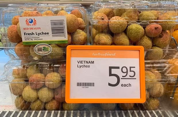 Les litchis vietnamiens renforcent leur présence à Singapour ảnh 1