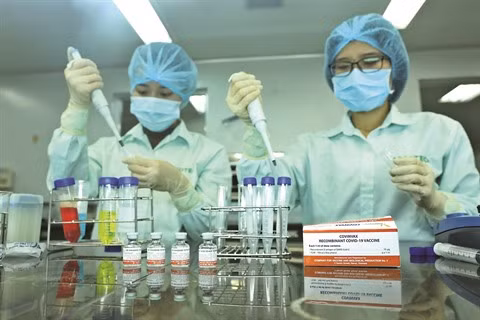 Le vaccin made in Vietnam Nano Covax sur de bons rails ảnh 2