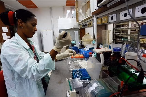 Des médecins cubains viendront travailler au Vietnam ảnh 1