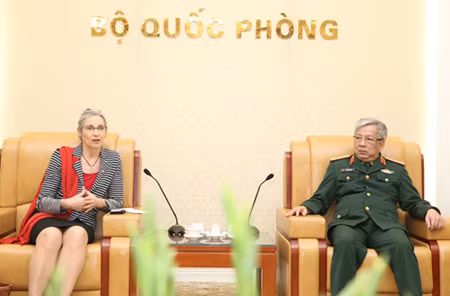 Vietnam-Pays-Bas : coopération dans le maintien de la paix ảnh 1