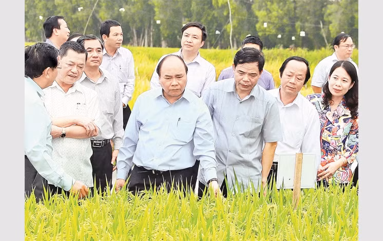 Le PM exhorte An Giang à élever la valeur ajoutée des produits agricoles ảnh 2