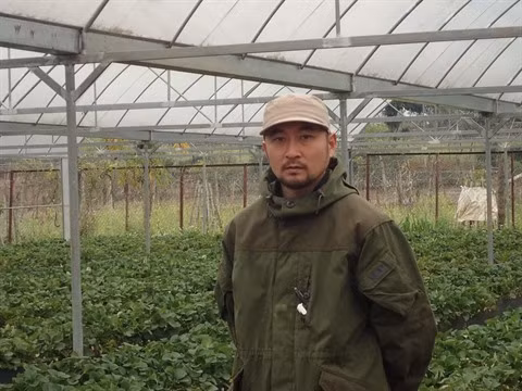 Nahana Shojiro, les fraisiers japonais de la passion à Môc Châu ảnh 1