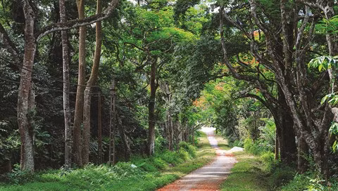 La capitale Hanoi a un plan pour la biodiversité ảnh 1