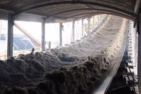 L’industrie sucrière cherche à mieux s’adapter aux enjeux d’aujourd’hui ảnh 2