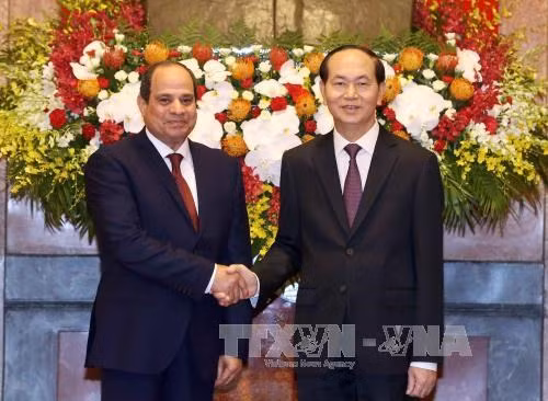 Entretien entre les présidents vietnamien et égyptien ảnh 1