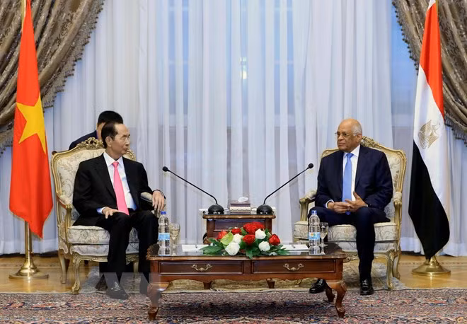 Le Vietnam attache de l’importance à ses relations d’amitié traditionnelle avec l’Egypte ảnh 1