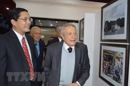 Le Vietnam et l’Egypte renforcent leurs relations en tous domaines ảnh 1