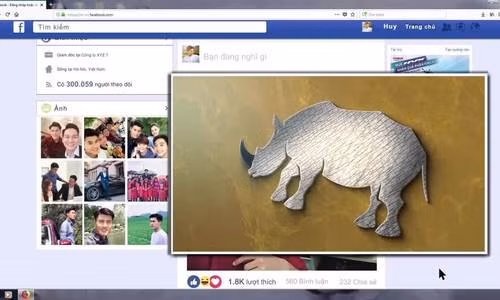 Un court-métrage appelle à la fin du massacre des rhinocéros ảnh 1