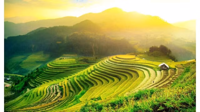 Sur la route des rizières en terrasses à valeur patrimoniale ảnh 1