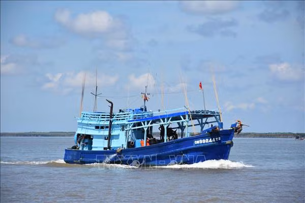Renforcement des patrouilles et des contrôles contre la pêche INN ảnh 1