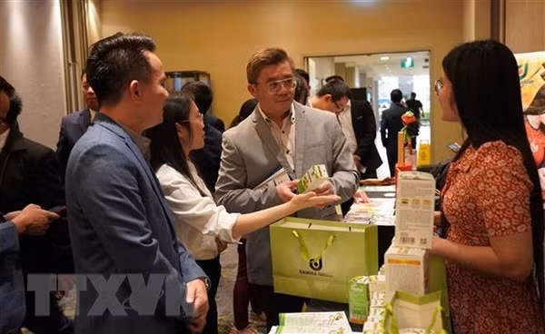Thai Binh recherche la coopération avec des entreprises australiennes ảnh 1