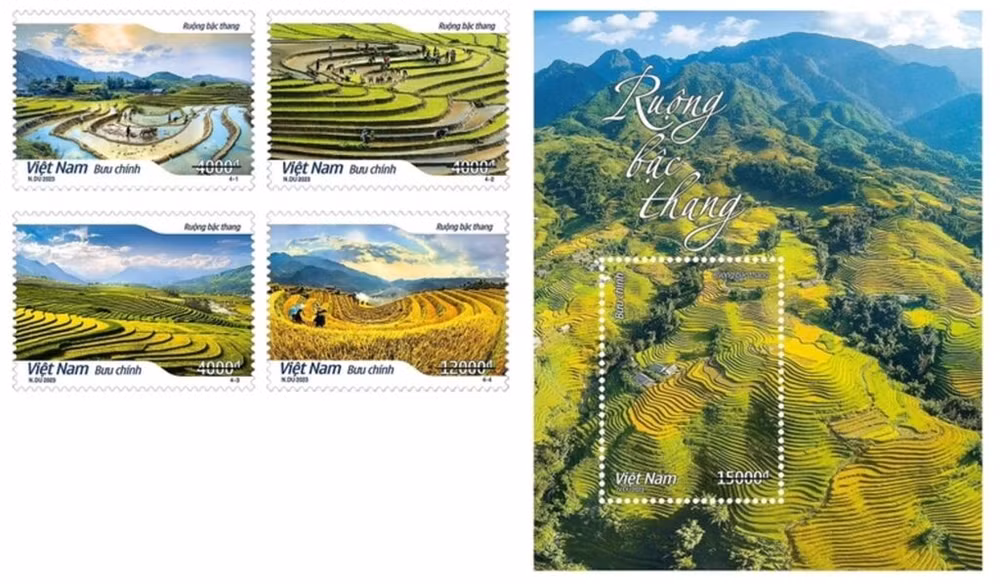 Lào Cai : la collection philatélique "Rizières en terrasse" se dévoile ảnh 1