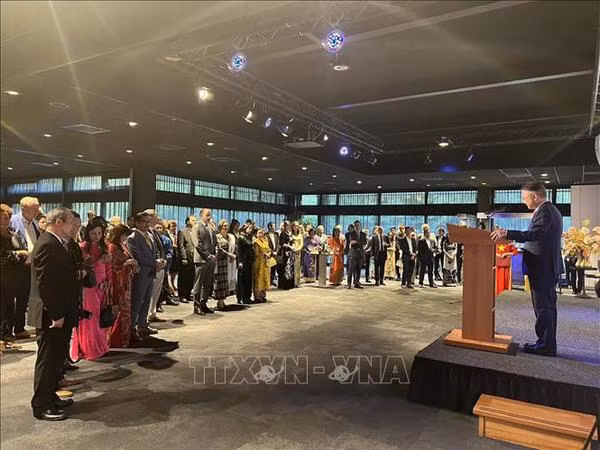 Fête nationale du Vietnam célébrée aux Pays-Bas et en Belgique ảnh 1