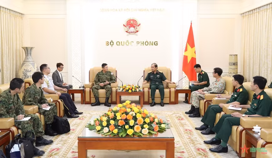 Vietnam et Japon promeuvent la coopération dans le domaine du maintien de la paix ảnh 1