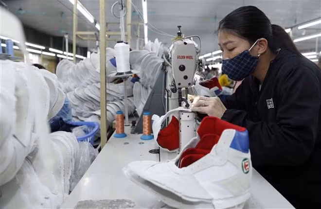 Le Vietnam joue un rôle important dans les chaînes d’approvisionnement d’Adidas et de Nike ảnh 2