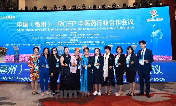 Le Vietnam à la conférence 2023 sur la médecine traditionnelle ASEAN – Chine ảnh 1