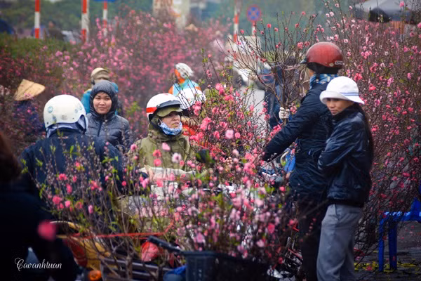 Les marchés des fleurs, élément culturel du Têt ảnh 2