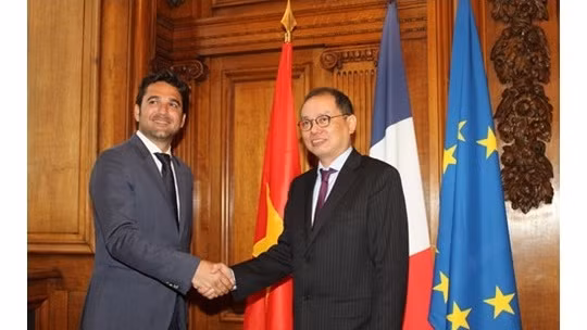 La ville française de Reims cherche la coopération économique avec le Vietnam ảnh 1