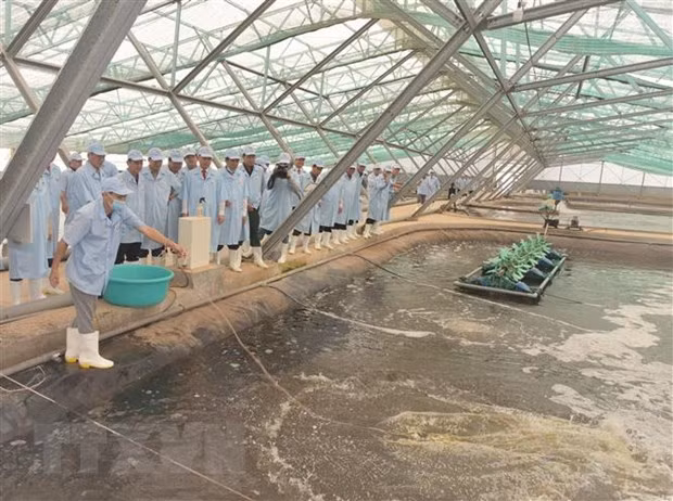 Bac Lieu développe la logistique et les industries de soutien à l'agriculture ảnh 1