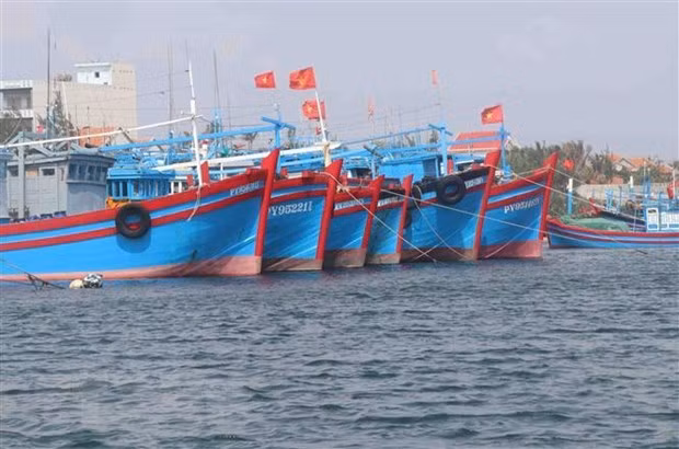 Lutter contre la pêche INN: Développer une pêche responsable et durable ảnh 1