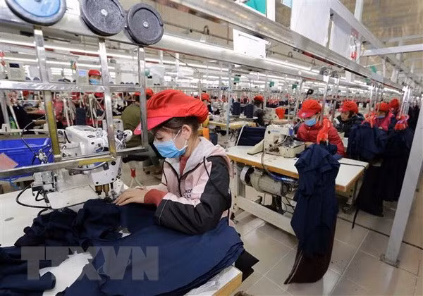 Réforme de la promotion du commerce: s'adapter aux flambées du COVID-19 ảnh 1