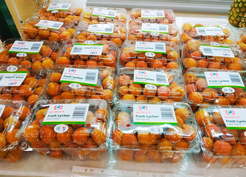 Entreprises vietnamiennes d'outre-mer: passerelles pour "donner des ailes" aux produits agricoles ảnh 1