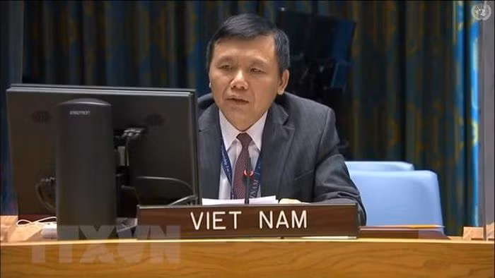 ONU : Le Vietnam le Vietnam appelle le Mali à mettre en œuvre une feuille de route de transition ảnh 1