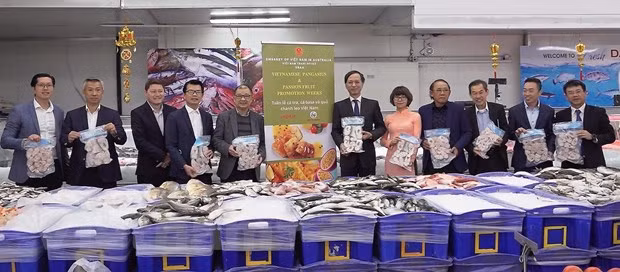 Exposition pour promouvoir les pangasius vietnamiens en Australie ảnh 1