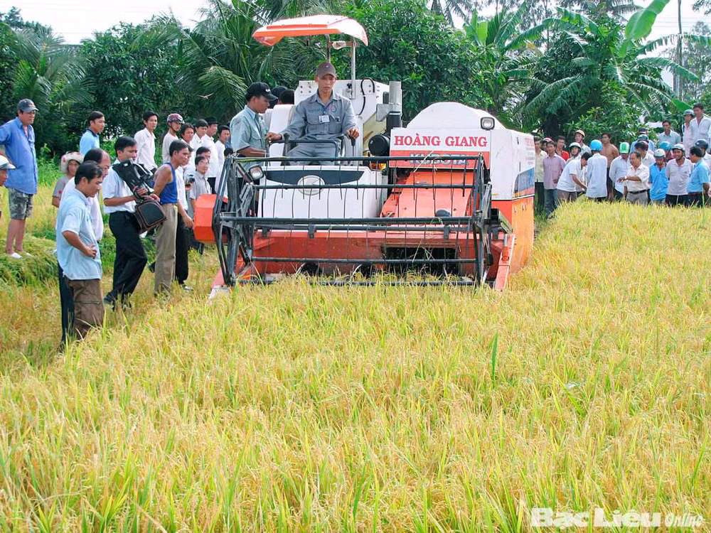 Lam Dong : 175 milliards de dôngs pour l’édification de la Nouvelle ruralité ảnh 1