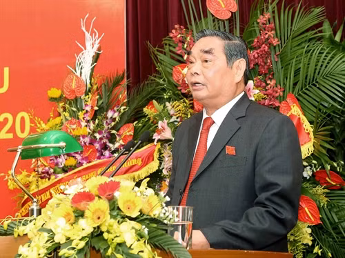 L’organisation du Parti à l’étranger contribue aux tâches extérieures du pays ảnh 1