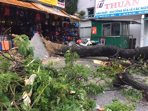 Passage du typhon USAGI: des rues de Hô Chi Minh-Ville inondées ảnh 1