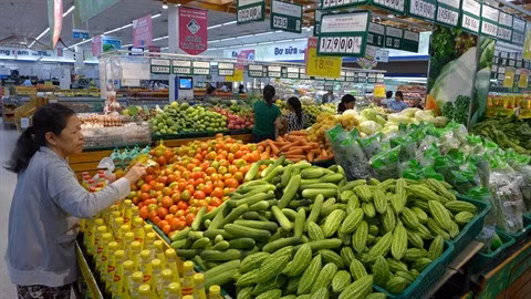 Résoudre les problèmes de sécurité alimentaire en associant secteur public et privé ảnh 1