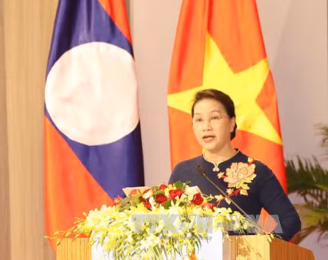Vietnam-Laos : Du rôle des députées dans les activités parlementaires ảnh 1