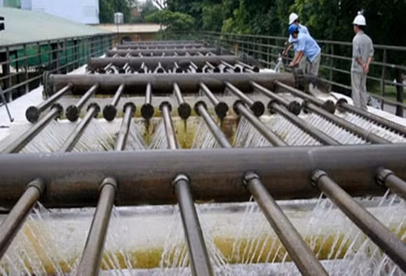 Promouvoir les relations entre Hanoi et Budapest ảnh 1