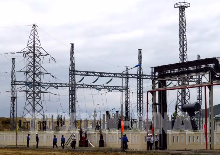 Diversifier les sources d'énergie : promouvoir la biomasse ảnh 1