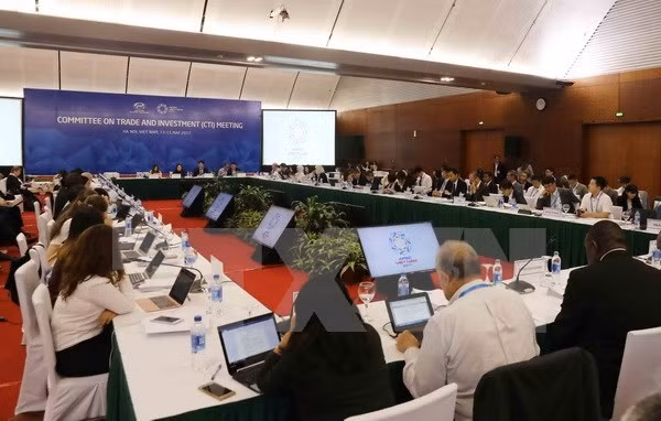 APEC 2017: La 6e journées de travail de la SOM 2 et des réunions connexes ảnh 1
