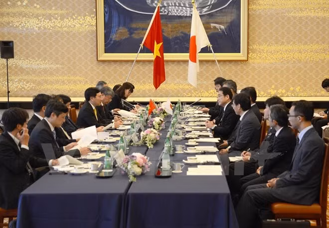 Vietnam est un des partenaires importants du Japon en Asie du Sud-Est ảnh 2