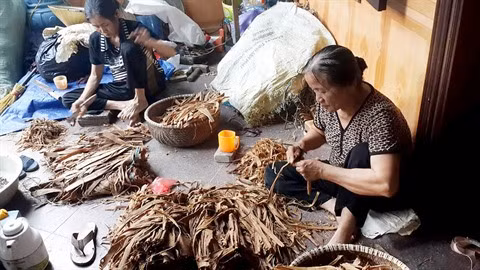 Ce que dit le village des Pamplemousses ảnh 2