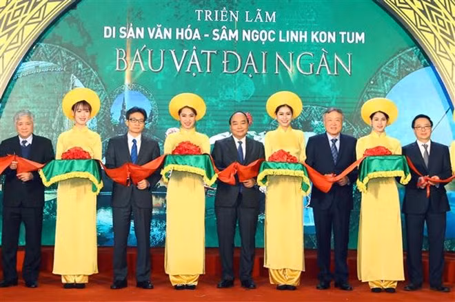 Ginseng de Ngoc Linh, un trésor national à préserver ảnh 1