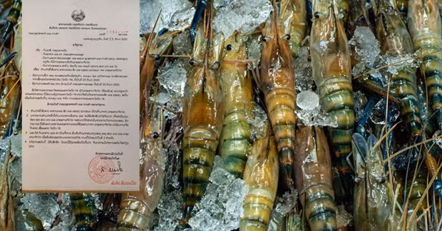 COVID-9 : Le Laos interdit l'importation de produits aquatiques de Thaïlande ảnh 1