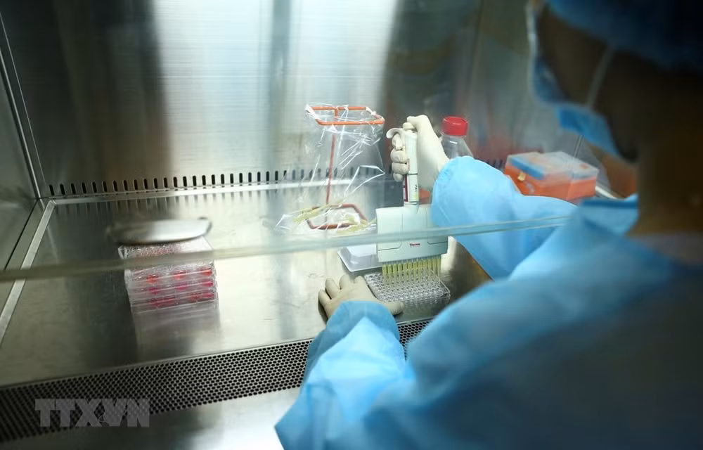 Au deuxième trimestre 2022, le Vietnam fournirait largement le vaccin COVID-19 ảnh 1 Au deuxième trimestre 2022, le Vietnam fournirait largement le vaccin COVID-19 ảnh 1