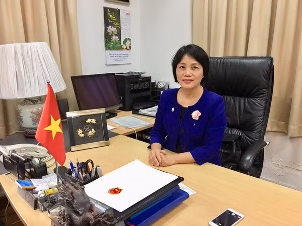 L'ambassade du Vietnam à Singapour publie une vidéo du Gala de l'ASEAN 2020 ảnh 1