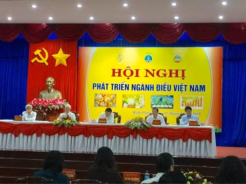 Des solutions pour développer durablement le secteur de la noix de cajou ảnh 1