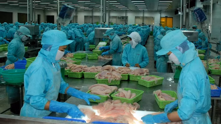 Vers une exportation durable des produits agricole, sylvicole et aquatique ảnh 1