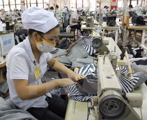 Textile-habillement : le Vietnam gagne des parts de marché aux Etats-Unis ảnh 1