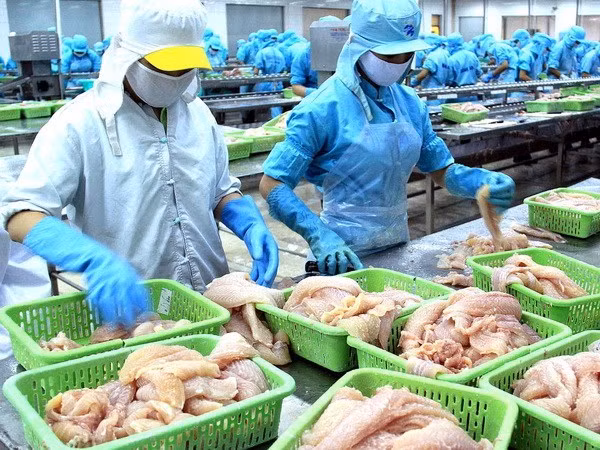 Autorisation de la vente de poissons tra au Panama ảnh 1