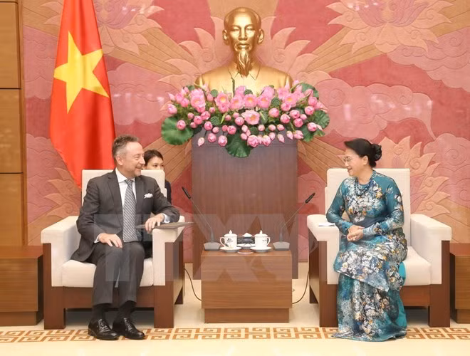 La présidente de l'AN Nguyen Thi Kim Ngan reçoit l'ambassadeur de la R. tchèque ảnh 1