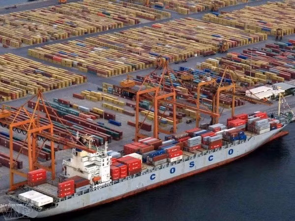 Une nouvelle voie maritime ASEAN-Chine pour le transport de fruits ảnh 1
